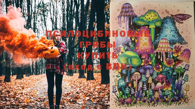 Псилоцибиновые грибы Magic Shrooms  где найти наркотики  Кораблино 